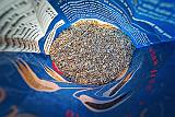 It's In The Bag_46371